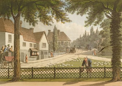 Vista desde Mi Propia Cabaña en Essex (Antes) de 